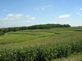 Sculpted Corn Field, Carr Valley, WI