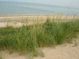 Central Beach, Indiana Dune National Lakeshore