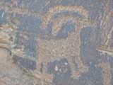 Big Sheep, Indian Petroglyph, Moab, UT