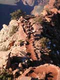 Pack Horse Train on South Kaibab Trail, Grand Canyon, AZ