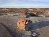 Petrified Landscape, Petrified National Forest, AZ