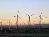 Windmill Farm, Southern California