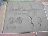 Arnold Schwarzenegger Impressions, Grauman Chinese Theater, Hollywood, CA