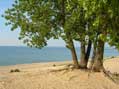 Mt Baldy, Indiana Dune National Lakeshore