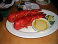 Lobster Feast at Testa’s, Bar Harbor, ME
