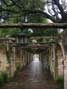 Stone Arch Corridor, The Alamo, San Antonio, TX