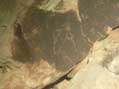 Indian Petroglyph, Petrified National Forest, AZ