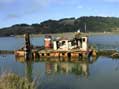 Long Neglected Boat, Newport City, OR